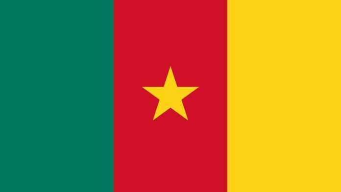 Drapeau du Cameroun