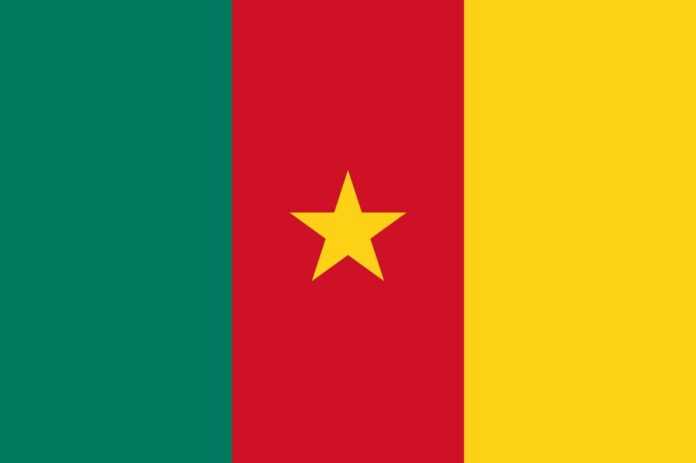 drapeau Cameroun