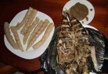poisson_bobolo.jpg