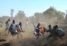 À Madagascar, la fièvre de la Vallée du Rift suit les routes commerciales À Madagascar, la fièvre de la Vallée du Rift suit les routes commerciales