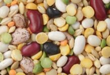 Recette végétarienne: la cuisine africaine à toutes les sauces ! Recette végétarienne: la cuisine africaine à toutes les sauces !