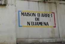 Tchad : neuf prisonniers tués dans une attaque Tchad : neuf prisonniers tués dans une attaque