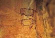 Inscription des sites africains au patrimoine mondial de l’Unesco : interview d’Edmond Moukala Tsodilo au Borswana