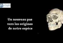 La découverte faite au Maroc modifie l’histoire d’Homo sapiens