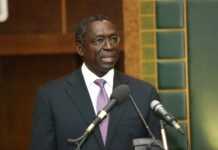 L’Afrique au centre de l’économie mondiale L’Afrique au centre de l’économie mondiale