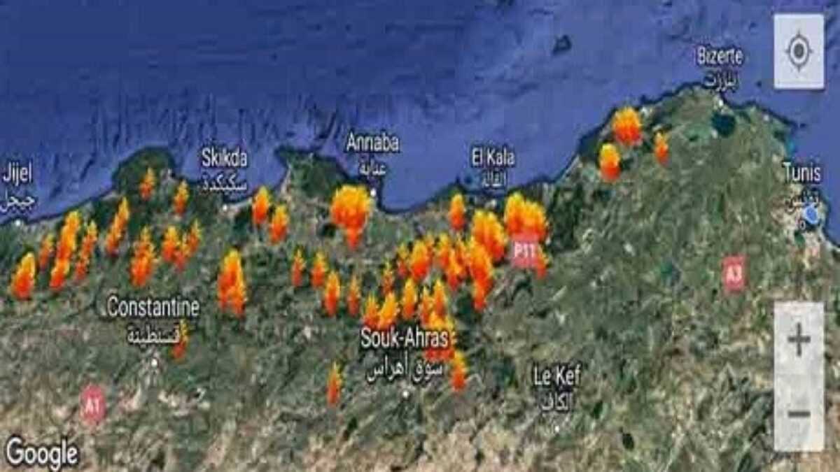 Incendies géants : au secours l'Algérie brûle