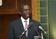 Abdoulaye Mar Dieye : L’Afrique au centre de l’économie mondiale