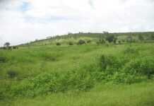 Carte postale du Sénégal : Thiès, la ville aux deux gares img_2570.jpg