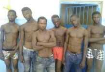 Côte d’Ivoire : vous avez dit microbes? Côte d’Ivoire : vous avez dit microbes?