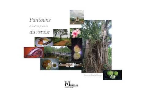 couv_pantouns_et_autres_poe_mes_du_retour.jpg couv_pantouns_et_autres_poe_mes_du_retour.jpg