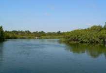 Sénégal : à la découverte du Delta du Saloum! saloum_2.jpg