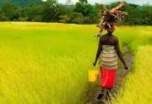 Afrique : les nouvelles technologies au service des droits de propriété