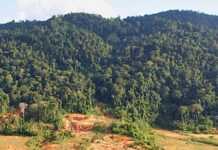 Guyane : non à la « Montagne d’or » !