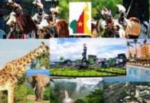 Cameroun : 17e réunion des Parties du Partenariat pour les forêts du bassin du Congo (PFBC)