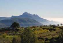 sierra-leone-montagne.jpg