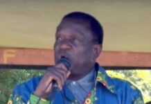 Zimbabwe : Emmerson Mnangagwa prend officiellement ses fonctions de président de la République