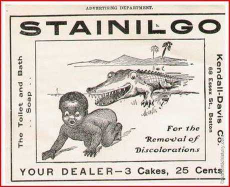 alligator.jpg alligator.jpg