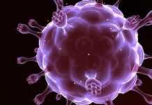 L’OMS félicite les Premières Dames africaines pour leur rôle dans la lutte contre la transmission du VIH de la mère à l’enfant L’OMS félicite les Premières Dames africaines pour leur rôle dans la lutte contre la transmission du VIH de la mère à l’enfant