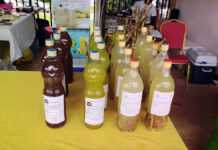 Foire agricole de Libreville