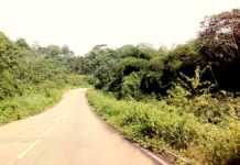 Route de Libreville à Bitam
