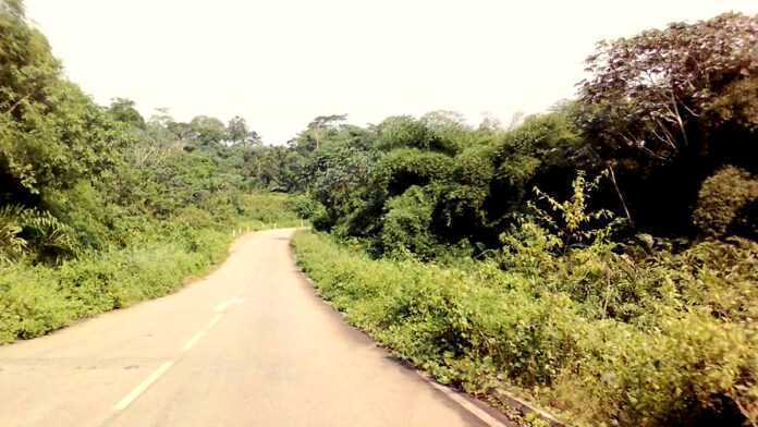 Route de Libreville à Bitam