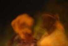 Inégalité hommes-femmes en Côte d’Ivoire : un écart faramineux ! Inégalité hommes-femmes en Côte d’Ivoire : un écart faramineux !