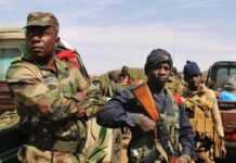 Mali : une mutinerie évitée de justesse ?