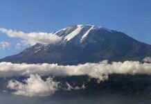 Combattre l’inégalité en soulevant des pierres avant de bouger les montagnes Combattre l’inégalité en soulevant des pierres avant de bouger les montagnes