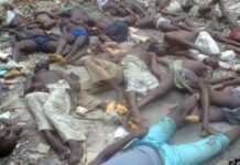 Nigeria : explosion de trois kamikazes sur un marché, 19 morts Nigeria : explosion de trois kamikazes sur un marché, 19 morts