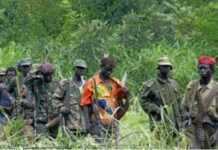 RDC : embuscade des rebelles ougandais, 5 morts
