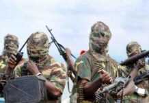 L’armée nigériane sauve 76 écolières lors d’une attaque de Boko Haram L’armée nigériane sauve 76 écolières lors d’une attaque de Boko Haram