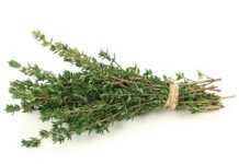 Des branches de thym