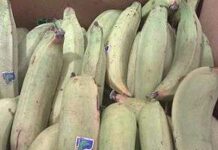 Plantains rôtis au muscovado Plantains rôtis au muscovado