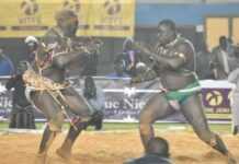 Lutte sénégalaise : Balla Gaye 2 vainqueur de Gris Bordeaux Lutte sénégalaise : Balla Gaye 2 vainqueur de Gris Bordeaux