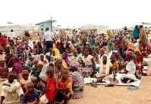 Le Comité interministériel d’aide alimentaire français vole au secours des réfugiés au Cameroun Le Comité interministériel d’aide alimentaire français vole au secours des réfugiés au Cameroun