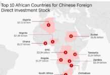 Relation commerciale entre l’Afrique et la Chine : une forte croissance notée sur le plan agricole