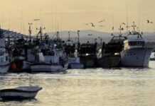 Les mailles de la pêche africaine