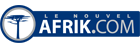 Afrik.com