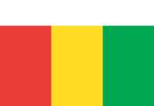 Guinée : la suspension de grands partis politiques secoue la scène politique