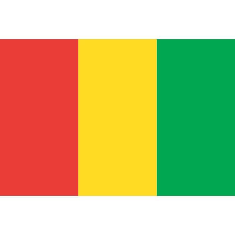 Guinée, la détention arbitraire et le harcèlement judiciaire de militants traduisent la volonté des autorités d'étouffer les voix dissidentes