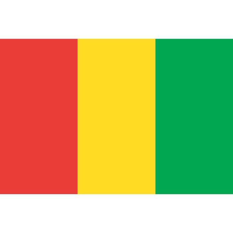 Guinée, la détention arbitraire et le harcèlement judiciaire de militants traduisent la volonté des autorités d'étouffer les voix dissidentes