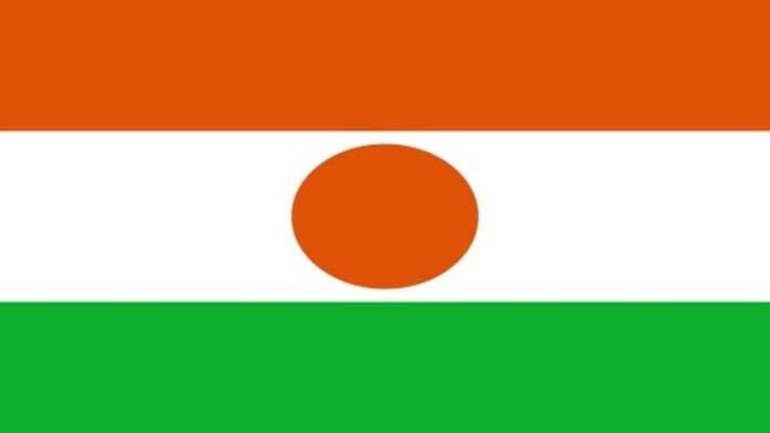 drapeau du Niger grand