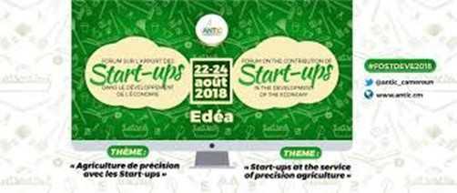 startup