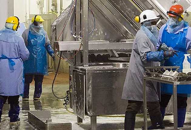Industrie Afrique