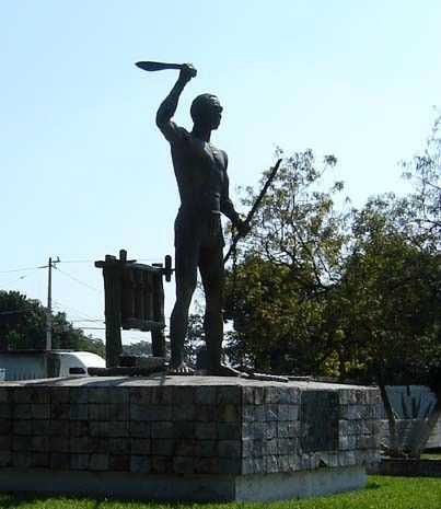yanga