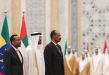 Les Emirats Arabes Unis dans la Corne de l’Afrique