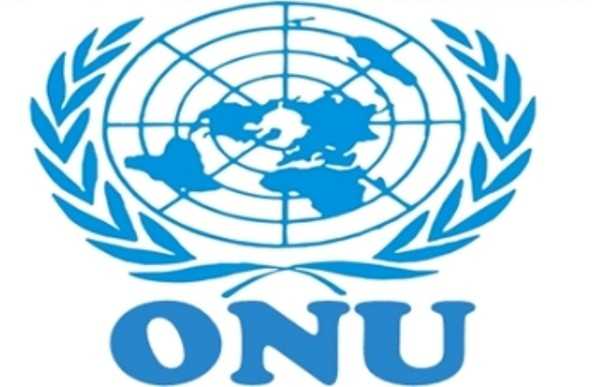 Six pays africains mauvais payeurs perdent leur droit de vote a l'ONU