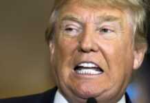 « L’Afrique aime Donald Trump » : un milliardaire met le feu à la toile (vidéo)