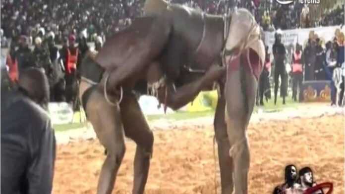 Modou Lô (gauche) en mauvaise posture face à Balla Gaye 2 (droite)