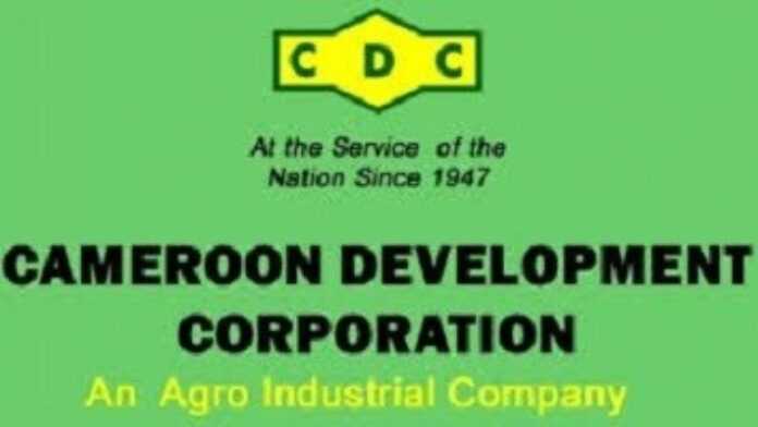 Cameroon Development Corporation